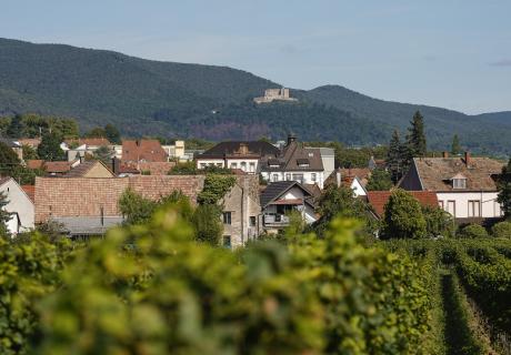 Edenkoben