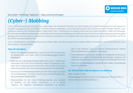 Bild Cybermobbing Tagebuch